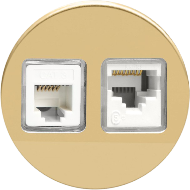 Double Ethernet - Polished Brass
