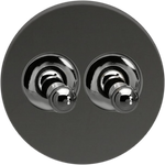 Double Toggle Switch - Mirror Black