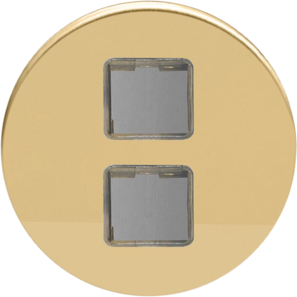 Double USB - Polished Brass