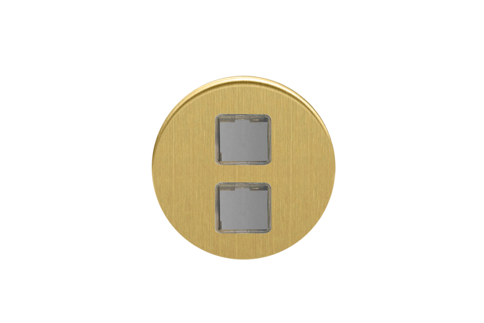 Double USB - Brushed Brass
